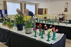 preparing-daffodils-Doug-scaled