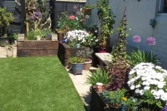 Juliette's lovely border